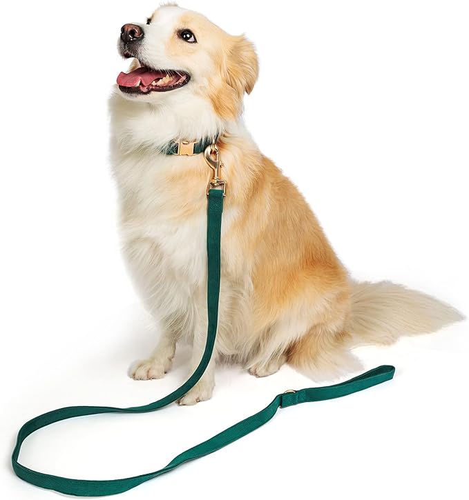 Soft Corduroy Dog Collar and Leash Set Adjustable Durable Dog Collars with Metal Buckle and Lead for Large Dogs,Dark Green