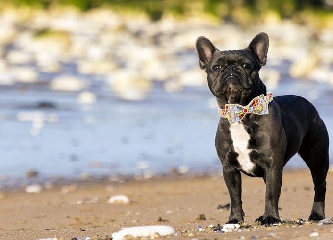 Unique Style Paws Dog Collar with Bow, Bowtie Dog Collar Adjustable Collars for Small Medium Large Dogs and Cats