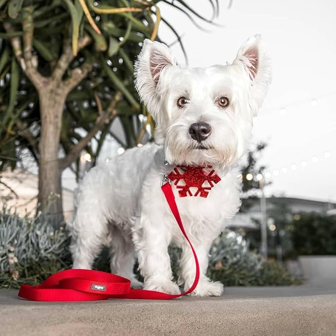 Blueberry Pet Small Christmas Dog Collar – Snowflakes Designer Collar with Bow, 12"-16" Neck, Eco-Friendly Glitter Décor for Holiday Pets