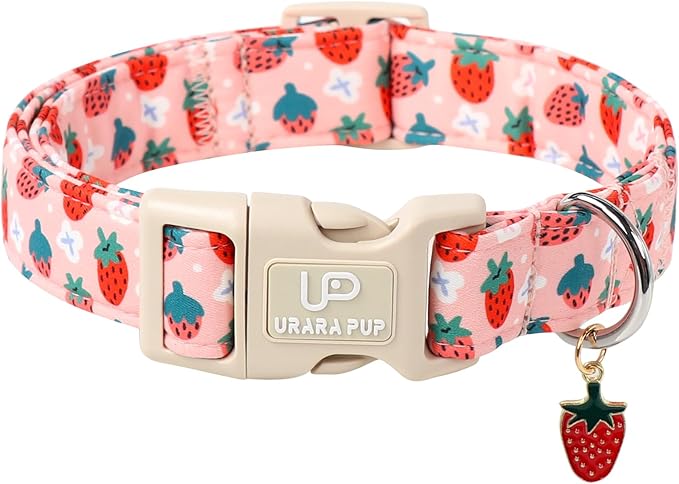 Dog Collar-Summer Puppy Collars-Adjustable Strawberry Pet Collar for Small,Medium,Large Dogs-Durable & Cute Design