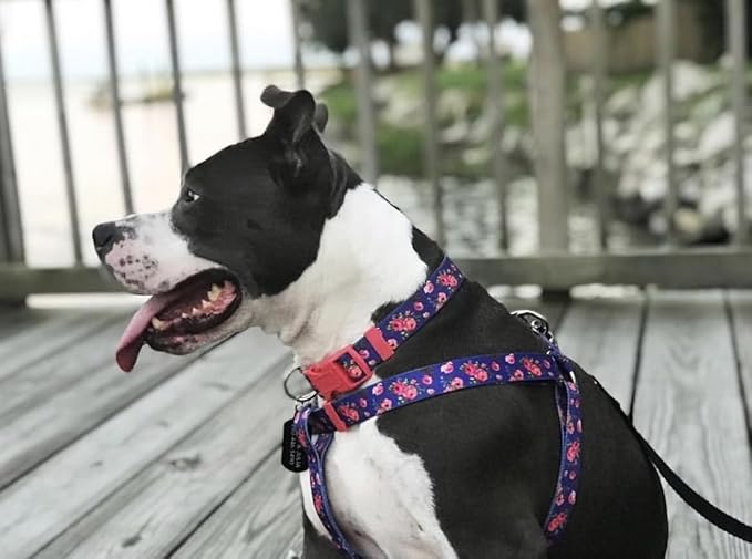 Blueberry Pet Dog Collar Rose Print, Adjustable Medium Dog Collars for Medium Dogs, Large & Small Dogs, Puppy Collar, Pink Dog Collar for Girls, Eco-Friendly, 14.5-20 in Neck