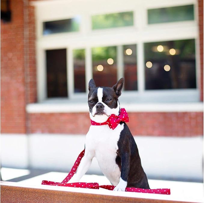 Unique style paws Cotton Dog Collar with Bow Puppy Collar with Red White Round Dot for Small Medium Large Boys Girls Dogs