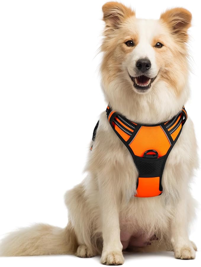 rabbitgoo Dog Harness No Pull with 2 Leash Clips, Adjustable Soft Padded, Reflective Oxford No Choke Pet Vest with Easy Control Handle for Medium Sized Dogs,Orange, M