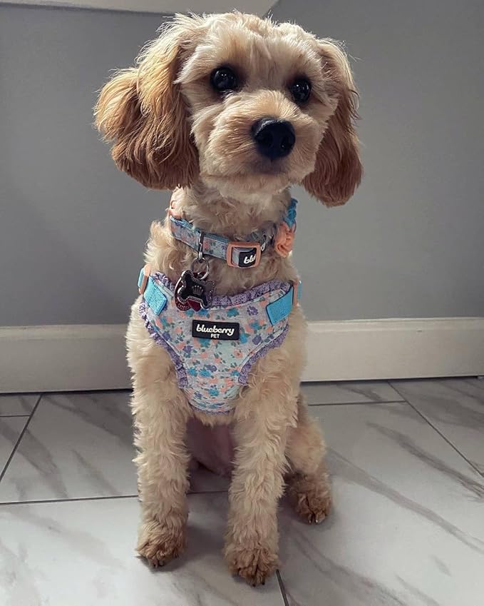 Blueberry Pet Dog Collar for Large Dogs, Lovely Floral Print in Lavender, Pink Girl Dog Collars, Adjustable Large Dog Collar with Detachable Flower, Stylish Dog Collars for Big Dogs