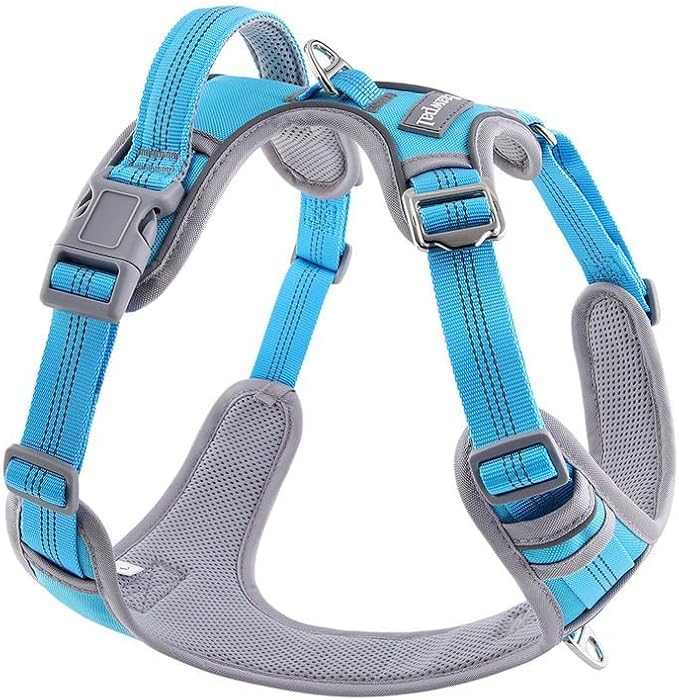Adjustable Dog Harness - No Pull, Reflective, Soft Padded for Small, Medium, Large Dogs - Includes Leash and Collar Turquoise XS
