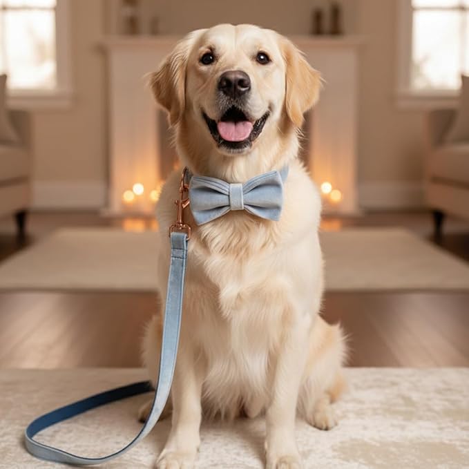 PETDURO Personalized Dog Collar Dusty Blue Soft Velvet for Large Medium Small Boy Girl Dogs - Custom Collar with Name Phone Engraved on Rose Gold Metal Buckle - Add Leash Bow Set via Customize Now