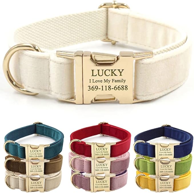 PETDURO Personalized Dog Collar Cream Soft Velvet for Large Medium Small Boy Girl Dogs - Custom Collar with Name Phone Engraved on Gold Metal Buckle - Add Matching Leash Bow Set via Customize Now