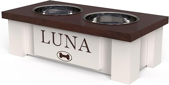 GTW Personalized Elevated Dog Bowl Stand for Large, Medium, Small, X-Small Dogs - Stainless Steel Food and Water Bowls - Raised Dog Dish with Internal Storage (X-Small, Dark Walnut)