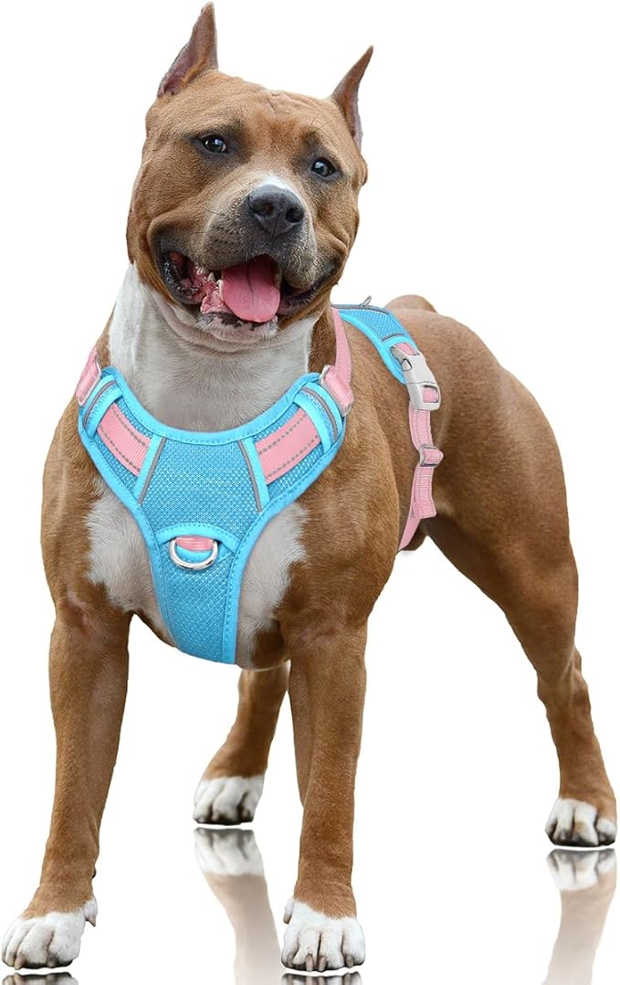 BARKBAY No Pull Dog Harness Large Reflective Dog Harness with Front Clip and Easy Control Handle for Walking Training Running with ID tag Pocket(Baby Blue & Baby Pink,L)