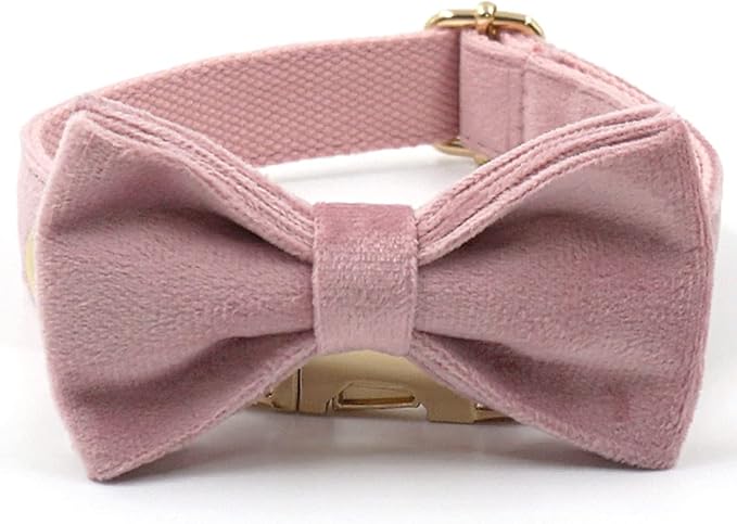 PETDURO Personalized Dog Collar Champagne Pink Soft Velvet for Large Medium Small Girl Dogs - Custom Collar with Name Phone Engraved on Gold Metal Buckle - Add Matching Leash Bow Set via Customize Now