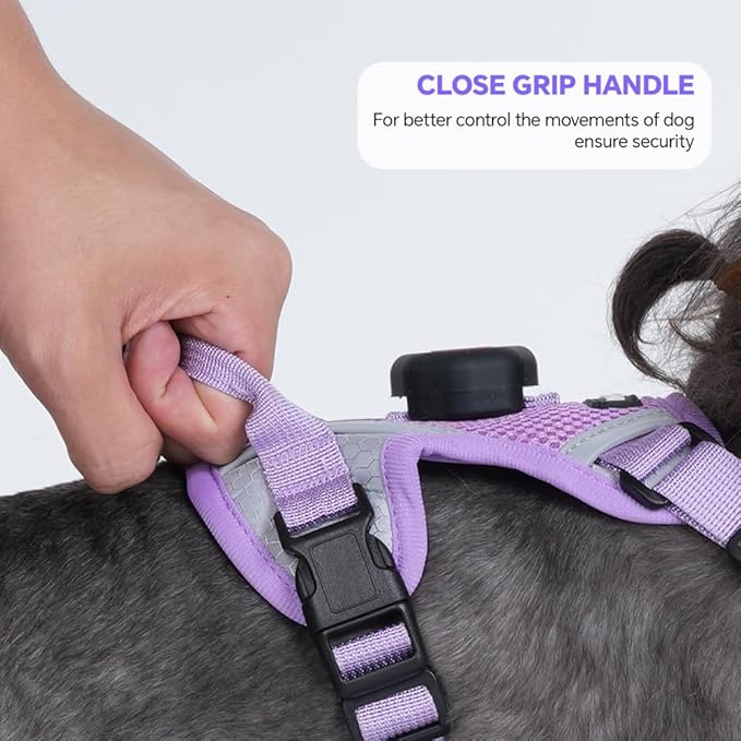 Cat Harness and Leash Set with AirTag Holder: Upgraded Escape Proof Vest with Lead for Small Dog Puppy Large Cat Walking，Soft Breathable Mesh Coat with Reflective Strip (Purple, M)