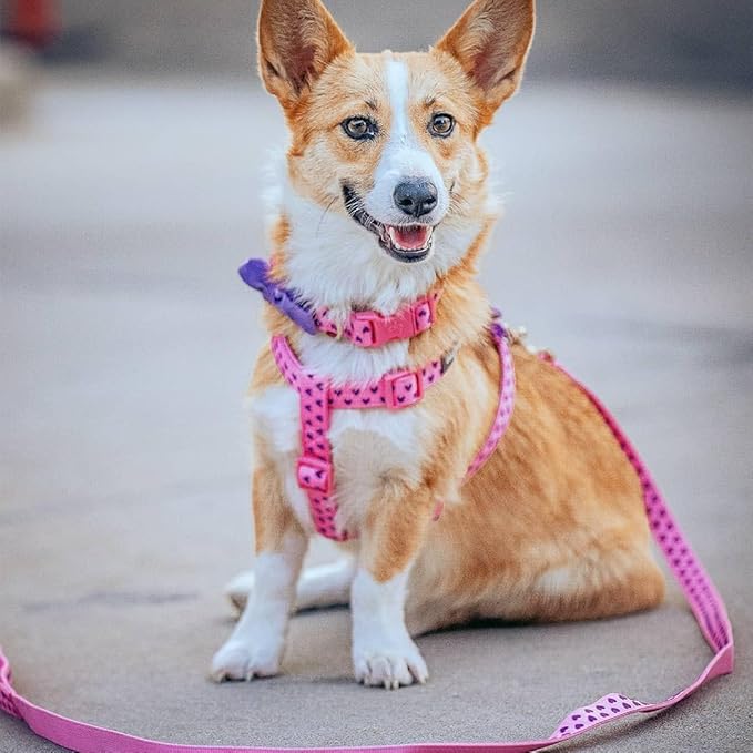 Blueberry Pet Valentine's Day Dog Leash, Velvety Soft-Touch Heart Flocking Lead for Medium Dogs, Baby Pink, 5 ft x 3/4"