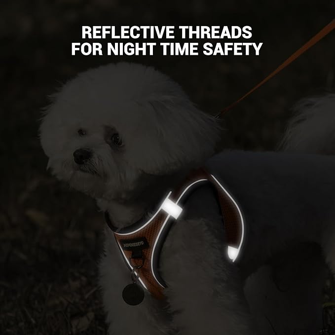 Dog Harness and Leash Set, Dog Harness for Dogs No Pull, No-Chock Step-in Reflective Breathable Lightweight Easy Walk Vest Harnesses with Safety Buckle for Small Medium Dogs, Cats (Orange, XS)