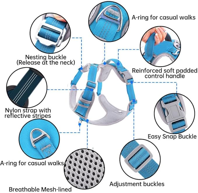 Adjustable Dog Harness - No Pull, Reflective, Soft Padded for Small, Medium, Large Dogs - Includes Leash and Collar Turquoise XL