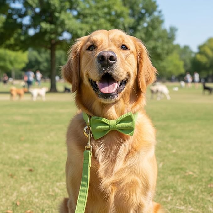 PETDURO Custom Dog Collar Personalized with Name Engraved Quick Release Rose Gold Metal Buckle for Large Medium Small Girl Dogs - Dog Leash and Bow Tie Available - Soft Comfy Velvet (Green, S)