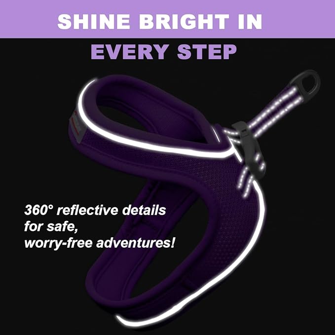 Cat Harness and Leash Set,Escape Proof Kitten Harness,Step in Adjustable Soft Lightweight,Easy Control,Reflective Strips Comfortable for Walking Travel(Purple,S)