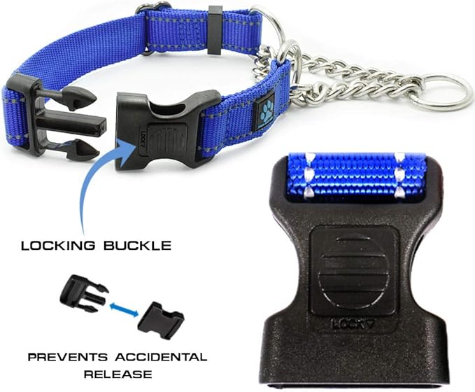 Max and Neo Stainless Steel Chain Martingale Collar - We Donate to a Dog Rescue for Every Collar Sold (Small, Orange)