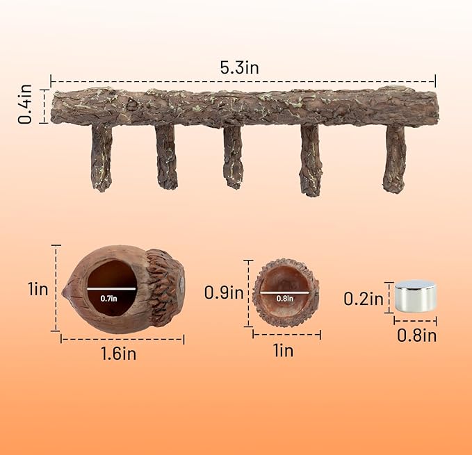Oiibo Jumping Spider Hideout and Feeding Dish, 3 in 1 Nut Shaped Hide Cave Sets for Spider Playing Feeding Climbing, Enclosure Accessories