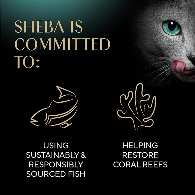 Sheba Selections Filets in Broth Adult Wet Cat Meal Complement Chicken & Tuna Recipe, 1.3 oz. Cups, 12 Count