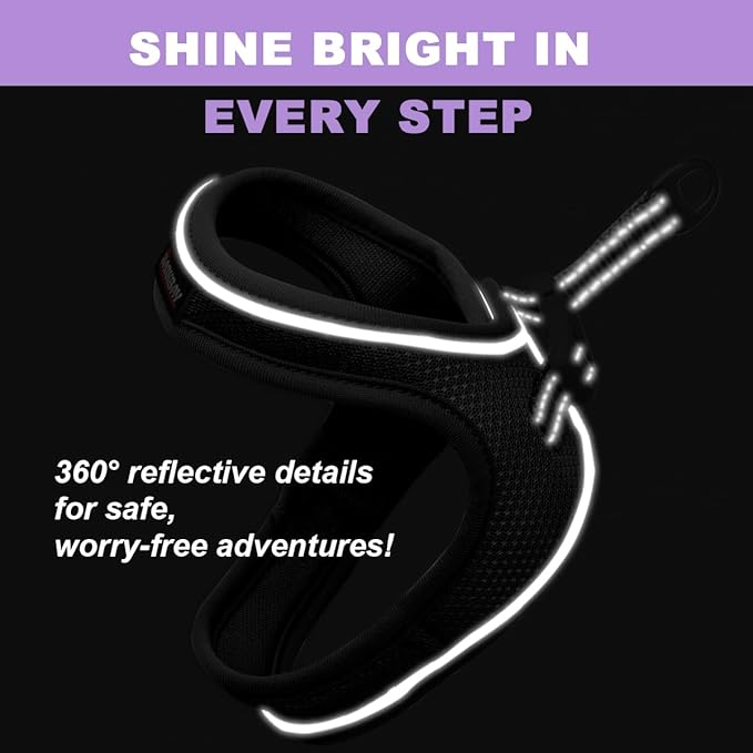 Cat Harness and Leash Set,Escape Proof Kitten Harness,Step in Adjustable Soft Lightweight,Easy Control,Reflective Strips Comfortable for Walking Travel(Black,M)