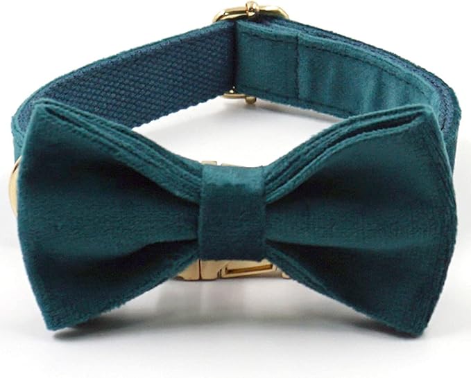 PETDURO Personalized Dog Collar Teal Soft Velvet for Large Medium Small Boy Girl Dog - Custom Collar with Name Phone Number Engraved on Gold Metal Buckle - Add Matching Leash Bow Set via Customize Now