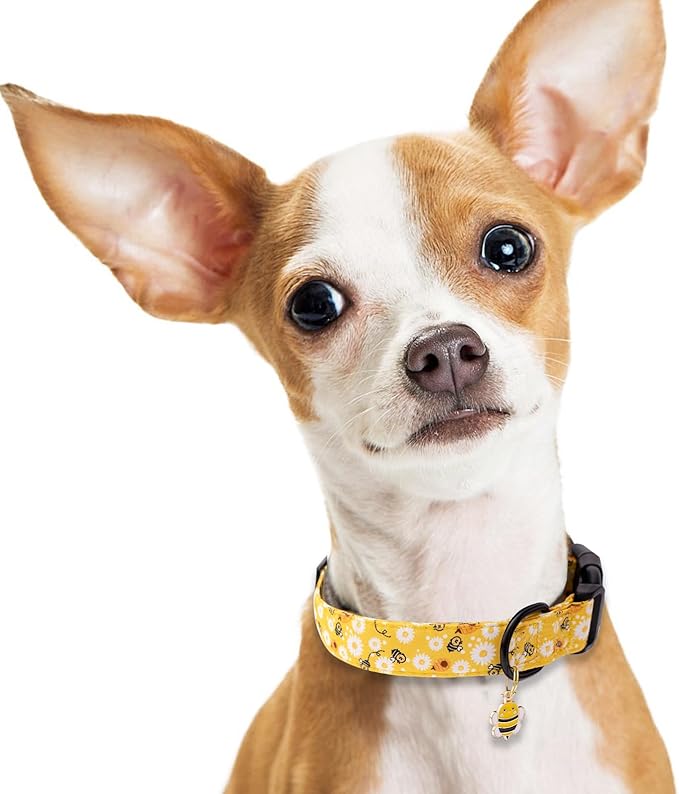 Faygarsle Dog Collar for Small Medium Large Dogs Yellow Puppy Collars for Female Dogs Floral Bee Daisy Patterned Pet Collars for Summer Spring Wedding Puppy Girl Dog Collar L