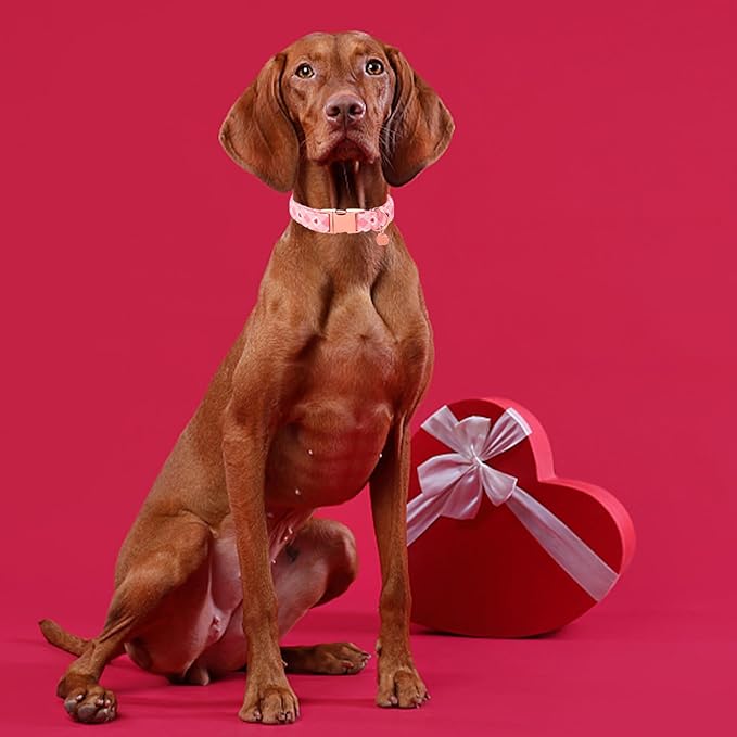 Valentine's Dog Collar,Pink Heart Dog Collar for Small Medium Large Girl Boy Dogs or Cats, Wedding Dog Collar Match Dog Leash, Pet Collar with Metal Buckle, XS