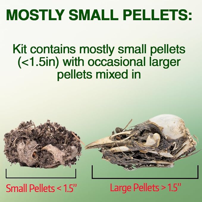 ES EVVIVA SCIENCES Owl Pellet Kit - Dissect 30 Mostly Small Real Owl Pellets w/Tools & PDF Bone Charts - Science Education Kit for Ages 15+ - Hands-On Animal Biology Science Lab Activity