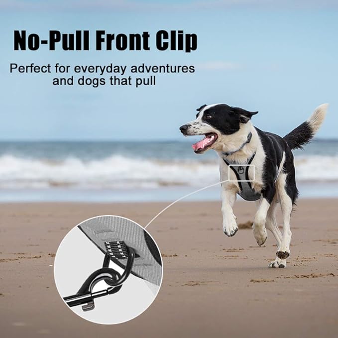 PoyPet No Pull Dog Harness, Reflective Comfortable Vest Harness with Front & Back 2 Leash Attachments and Easy Control Handle Adjustable Soft Padded Pet Vest for Small to Large Dogs (Gray,M)