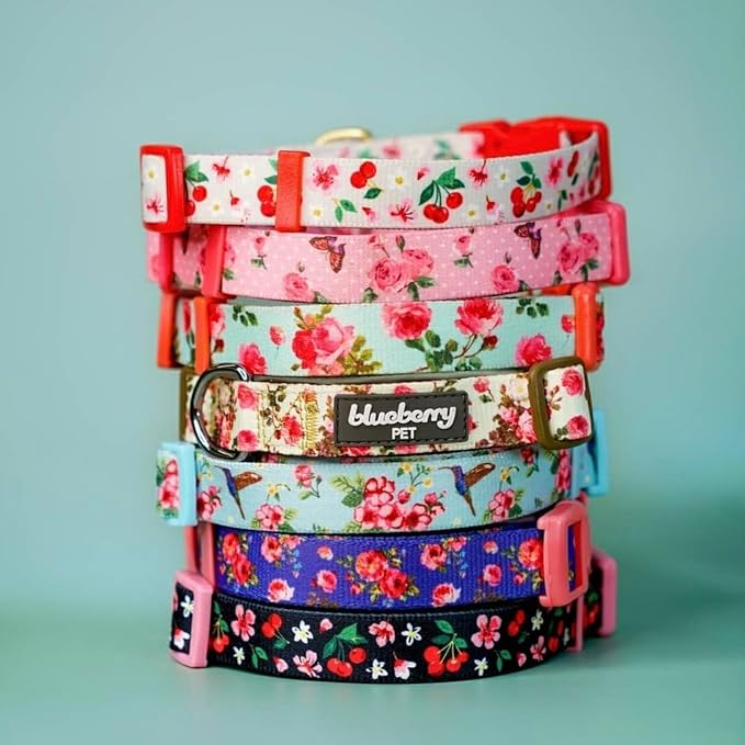 Blueberry Pet Dog Collar - Turquoise Floral Rose Print, Adjustable Small Dog Collar for Neck 12-16", Girl Dog Collars for Small Dogs, Puppy Collars, Easter Dog Collar, Eco-Friendly