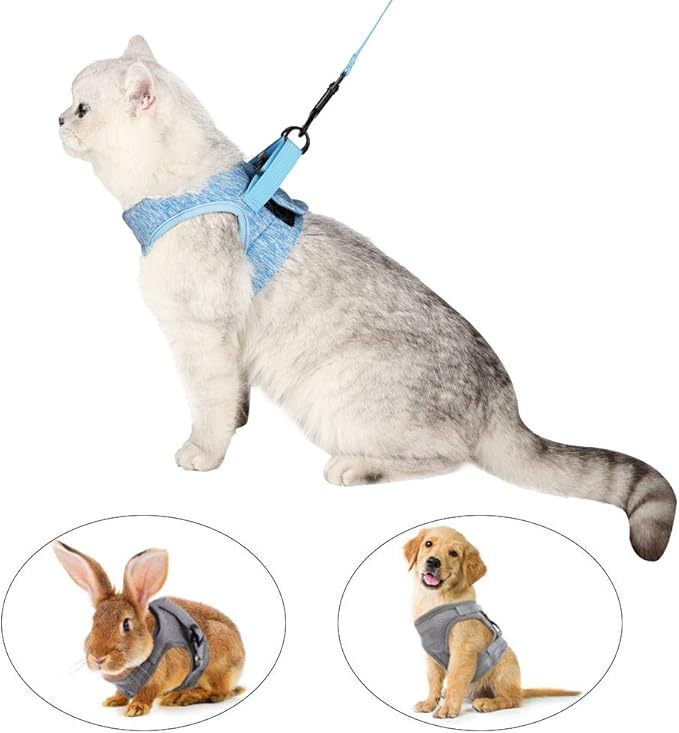 HEYWEAN Cat Harness and Leash - Ultra Light Escape Proof Kitten Collar Cat Walking Jacket with Running Cushioning Soft and Comfortable Suitable for Puppies Rabbits