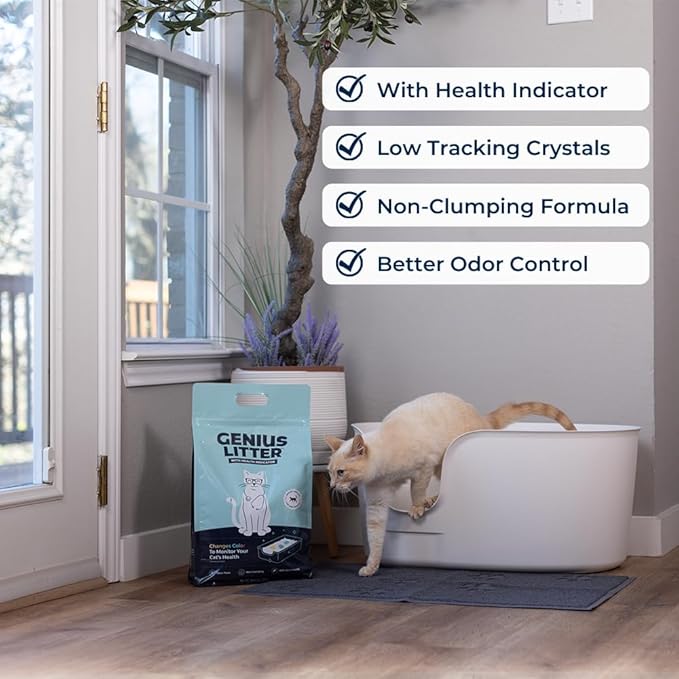 Genius Litter Health Monitoring Cat Litter, Featured on Shark Tank, Lightweight Crystal Silica Gel, Non Clumping, Dust Free, Low Tracking, Odor Control for Indoor Cats and Kittens, 6 lb Bag