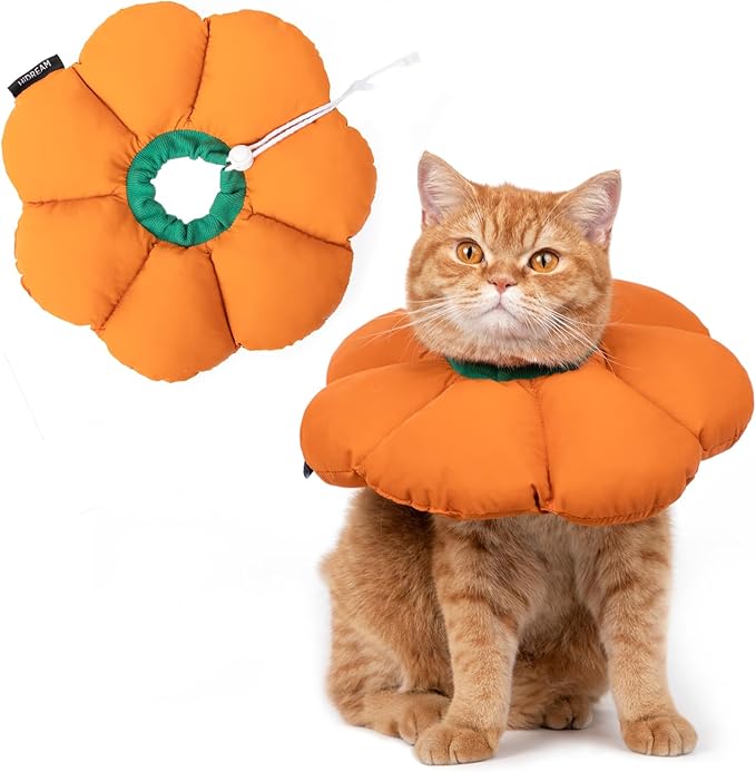 H HIDREAM Cat Cone Collar,Cute Waterproof Recovery Collar,Anti-Bite Lick Wound Healing Safety Elizabethan e Collar for Cats,Orange Pumpkin Halloween Costume, HDY01-005S