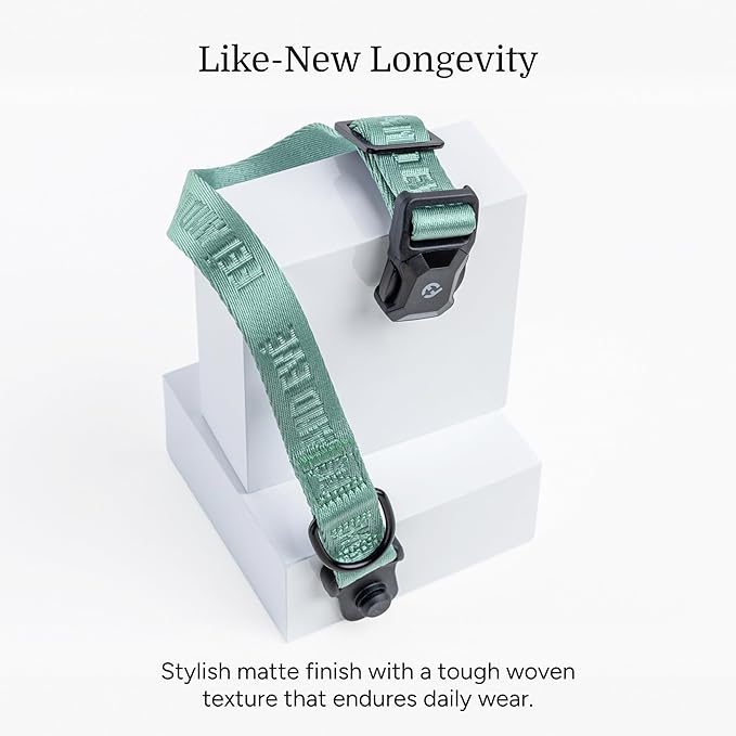 2025 New Edition, Fei & Eve MagEase Dog Collar - Patented Magnetic Buckles | Fur-Safe | Premium 210D Nylon | 450LB Escape-Proof | Adjustable Fit | Large (Glacier Green)