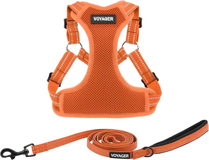 Best Pet Supplies Voyager Mesh Dog Breathable Harness Reflective Stitching, All Weather Adjustable for Walking Training, or Running - Heavy Duty & Durable, Harness Leash Set (Orange), M
