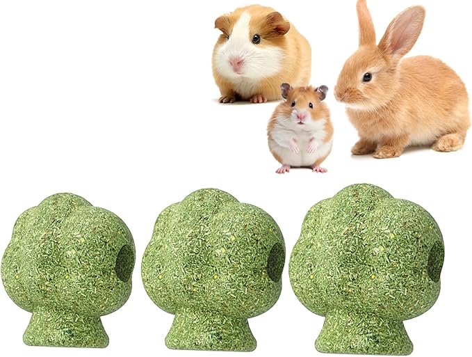 mini&moe Hamster Chew Toys for Teeth - Guinea Pig Chews and Treats Natural Hamster Enrichment Toys Improve Dental Health for Rat, Bunny, Chinchilla, Gerbils and Small Animal