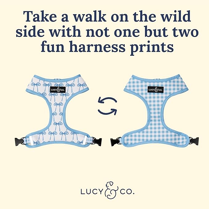 Lucy & Co. Cute Reversible Dog Harness Walking Halter - Best Designer Pet Harnesses for XS - XL Dogs - Padded Adjustable Vest for Easy Walking (Large, Purple Green Floral Checker)