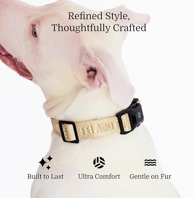 2025 New Edition, Fei & Eve MagEase Dog Collar - Patented Magnetic Buckles | Fur-Safe | Premium 210D Nylon | 450LB Escape-Proof | Adjustable Fit | Large (Champagne)