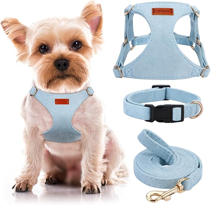 No Pull Dog Harness- Lightweight, Soft, Adjustable Small Harness Collar and Leash Set, Suitable for Cats Puppy Small and Medium-Sized Dog Outdoor Training and Running (Blue, XS)