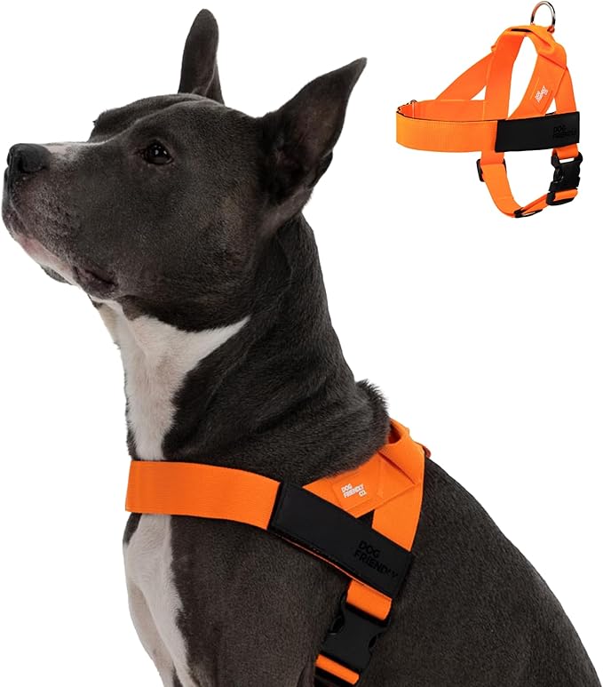 DF Co. Dog Harness | Chafe Resistant Webbing, Adjustable Neck & Chest, and Heavy Duty D-Ring | Sturdy, Comfortable, Easy to Use | Hi-Vis Orange, Size XS