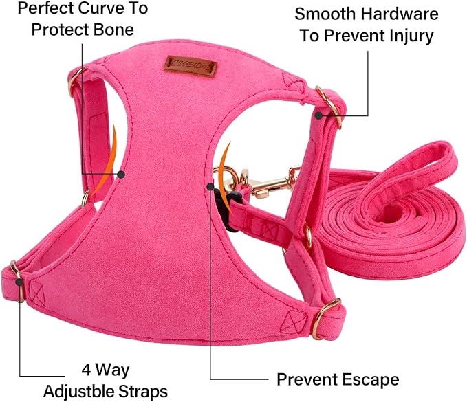 No Pull Dog Harness- Lightweight, Soft, Adjustable Small Harness Collar and Leash Set, Suitable for Cats Puppy Small and Medium-Sized Dog Outdoor Training and Running (hotpink, S)