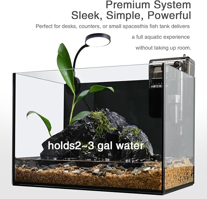 Fish Tank,2.8 Gallon Small Aquarium Kit,Glass Small Fish Tank,Betta Fish Tank with Light and Filter, Small Transparent Glass Fish Tank with Light and Filter