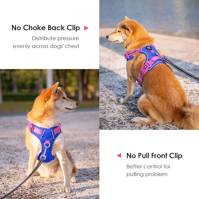 PHOEPET No Pull Dog Harness, Unique Colors Reflective Adjustable Dog Vest, with Soft Training Handle Metal Clips for Small Medium Large Dogs (Royal Blue Base & Pink Straps,S)
