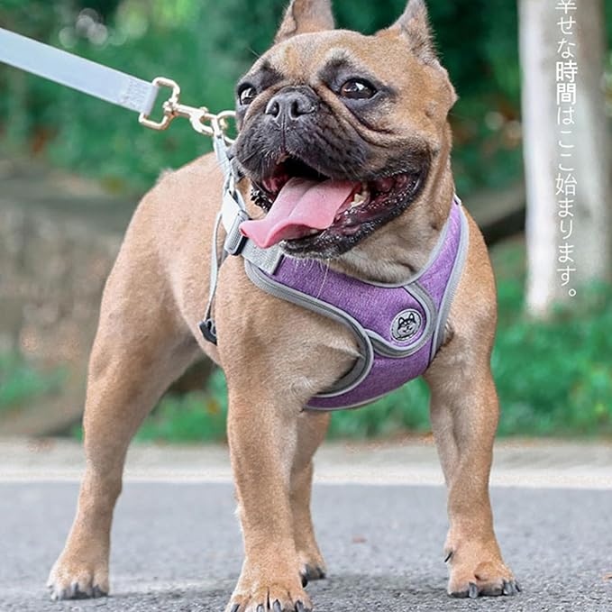 Small Dog Harness and Leash Set,No Pull Adjustable Step in Soft Mesh Vest Harness,Easy Walk Reflective Pet Harness with Padded Handle for Walking Training Small Medium Large Dogs and Cats (Purple, S)