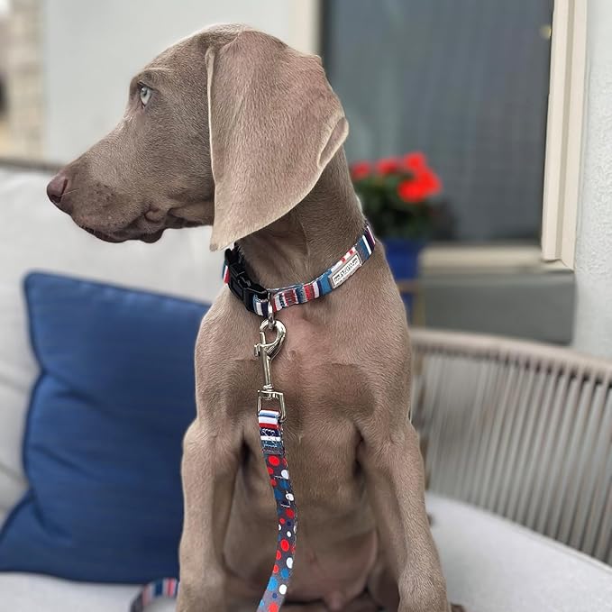 Lucky Love Dog Leash – Soft, Durable, and Comfortable Leash with Vibrant Patterns – Stylish and Long Lasting for Small Male and Female Dogs – Linus, Small