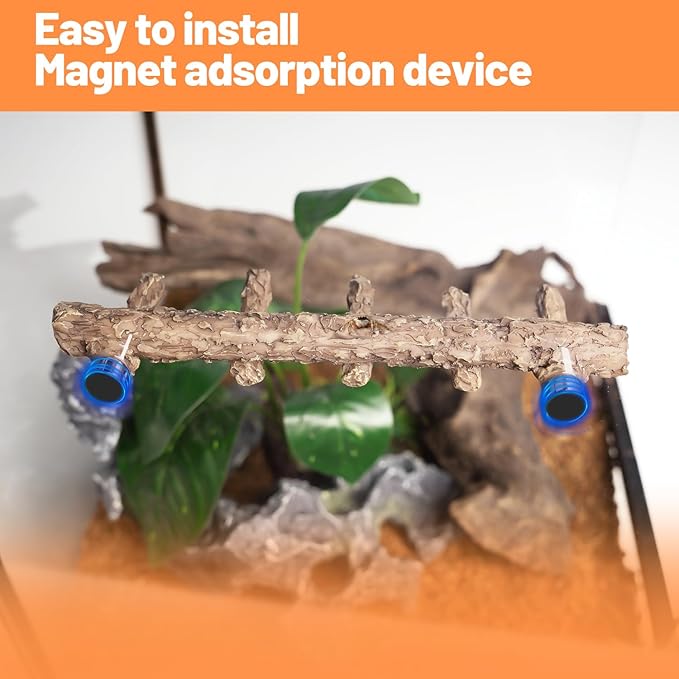 Oiibo Jumping Spider Hideout and Feeding Dish, 3 in 1 Nut Shaped Hide Cave Sets for Spider Playing Feeding Climbing, Enclosure Accessories