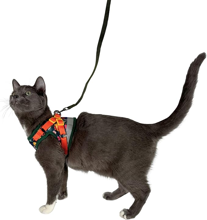Travel Cat Harness and Leash Set - Adjustable Fit Mesh Cat Harness and Reflective Strap - Comfort Walking Vest for Kitten for Outdoor Walking, Hiking (Small, Hawaiian)