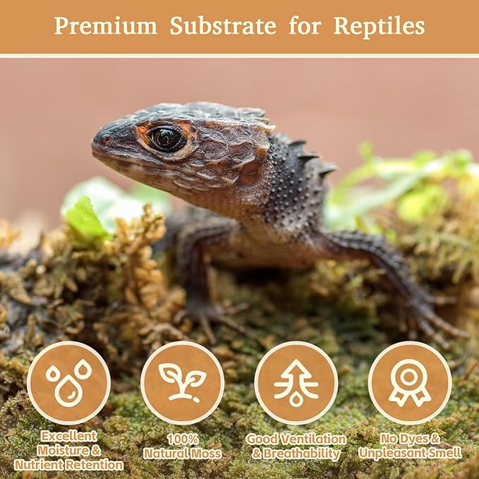 Riare 2.2LB Natural Sphagnum Moss for Reptiles- 50QT Reptile Substrate Moss for Terrarium, Frogs Snake Bedding for Leopard Gecko Turtle Anoles Salamanders Ball Python Snake