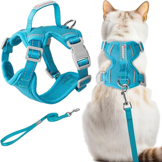 Cat Harness and Leash Set Escape Proof for Kitten Walking, Soft Adjustable Top Handle Vest Harnesses for Cats, Easy Control Breathable Reflective Small Medium Large, Blue,XXS
