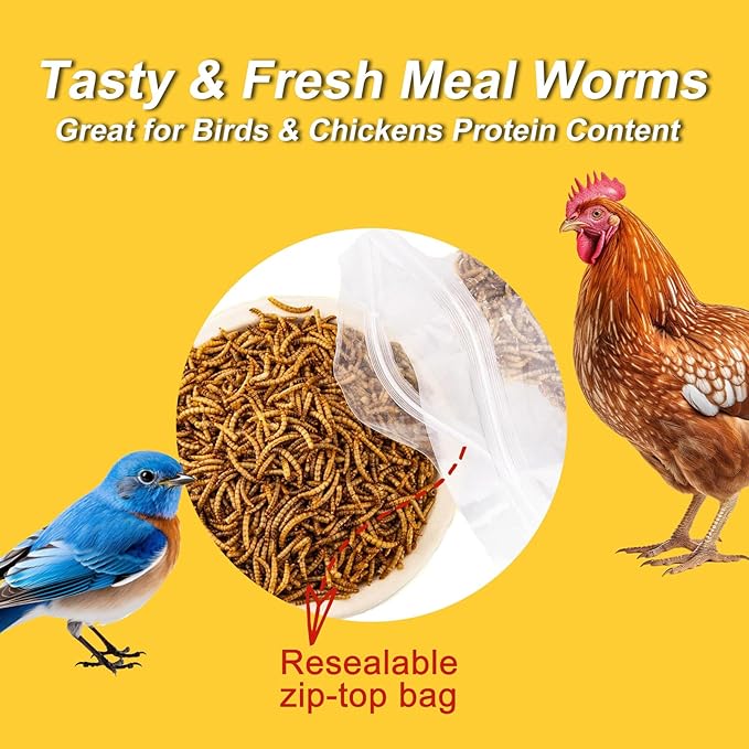 RANZ 2LBS Non-GMO Dried Mealworms for Chickens, High Protein Meal Worms, Premium Chicken Feed, Whole Large Mealworms for Blue Birds, Ducks, Fish